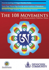 dvd-108_movements-eng